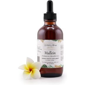 Organic Mullein (Verbascum Thapsus) Dried Flower Tincture - Herbal Supplement for General Wellness, Alcohol-Free 4 Fl.oz