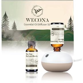 Rechargeable Waterless Essential Oil Diffuser - 2 Mist Modes Battery Operated Waterless Diffusers with 2 Essential Oils Set (30ml) - 8 Hours Automatic Shutdown Diffusers
