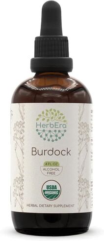 Burdock B120 USDA Organic Tincture | Alcohol-Free Extract, High-Potency Herbal Drops | Certified Organic Burdock (Arctium lappa) Dried Root (4 oz) in Saudi Arabia
