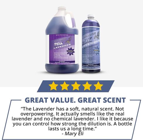 All Purpose Cleaner Concentrate - Advanage 20X The Wonder Cleaner Green Apple for All Surfaces Around The Home, Oil and Grease | Multipurpose Cleaner For All Household Cleaning Needs | 32Oz in Saudi Arabia