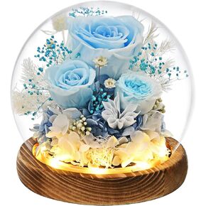 Gifts for Wome, Mom, Grandma, Wife, Preserved Rose Flowers in Glass Dome for Birthday Gifts, Christmas, Valentines, Anniversary, Wedding, Thanksgiving, Mothers Day, with LED Light (Red)