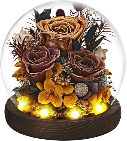 Gifts for Wome, Mom, Grandma, Wife, Preserved Rose Flowers in Glass Dome for Birthday Gifts, Christmas, Valentines, Anniversary, Wedding, Thanksgiving, Mothers Day, with LED Light (Red) in Saudi Arabia