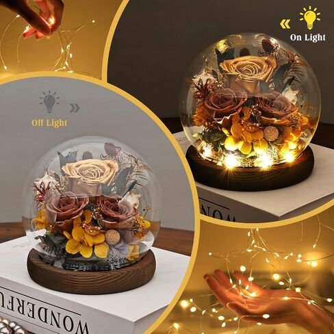 Gifts for Wome, Mom, Grandma, Wife, Preserved Rose Flowers in Glass Dome for Birthday Gifts, Christmas, Valentines, Anniversary, Wedding, Thanksgiving, Mothers Day, with LED Light (Red) in Saudi Arabia