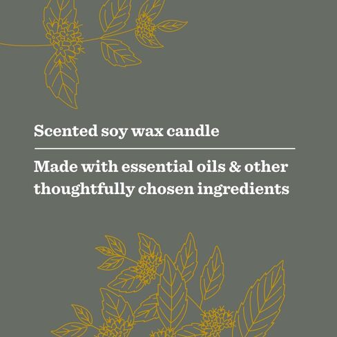 شمعة الصويا المعطرة المتوارثة من Mrs. Meyer's Clean Day Garden، كبيرة، رائحة زهرة القمر، شمعة 14 أونصة in Kuwait