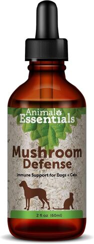 الدفاع عن الفطر من Animal Essentials - دعم الجهاز المناعي للكلاب والقطط، مضادات الأكسدة الطبيعية، الفطر، لجميع الأعمار، أعشاب عضوية - 1 أونصة سائلة in Kuwait