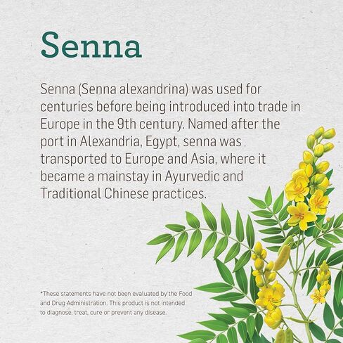 ALVITA Organic Senna Tea, Herbal Organic Senna Tea Laxative, Senna Leaf Tea Bags for Colon Cleanse, Detox Tea, Constipation Relief (3 Pack - 16 Tea Bags Per Box) in Kuwait