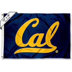 College Flags & Banners Co. Cal Golf Cart and Boat Flag