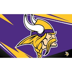 Northwest The Company NFL Minnesota Vikings Washable Rug, 36" x 60", Shredder, Team Colors