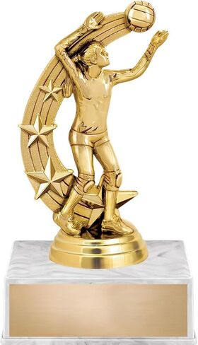 Crown Awards Volleyball Trophy, 6" Volleyball Forward Female Trophy On White Luxury Trophy Base in Saudi Arabia