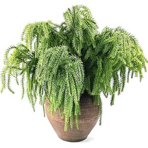 GXXMEI 6PCS 18" Christmas Norfolk Pine Branches, Norfolk Pine Stems DIY Crafts Faux,Faux Cedar Branches for Christmas Indoor Outdoor Home Decor