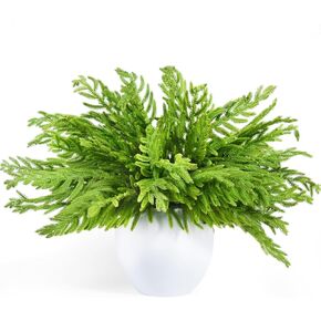 YoleShy Christmas Artificial Norfolk Pine Stems 10 Pcs Faux Norfolk Pine Branches for Decorating, 20 in Christmas Greenery Stems for Vase Indoor Christmas Decoration for Table