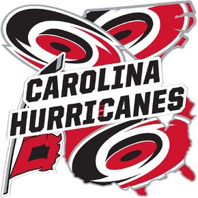 Desert Cactus Carolina Hurricanes Stickers Team NHL National Hockey League Vinyl Decal Laptop Water Bottle Car Scrapbook (Type 2-3)