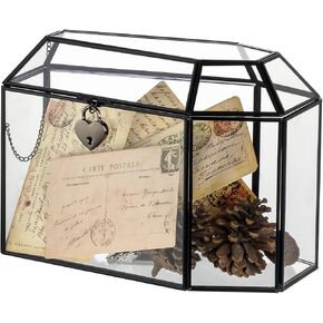 NCYP Gothic Glass Coffin Box with Swing Lid and Lock - 10.4" x 5.7" x 7.5" Card Keepsake Display Organizer for Wedding, Party, Pet Funeral - Halloween Decoration, Black Terrarium (Glass Box Only)