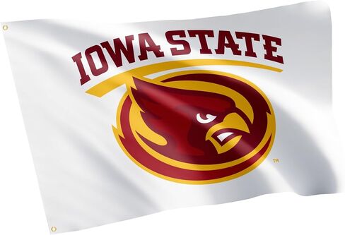 Desert Cactus Iowa State University Flag ISU Cyclones Banners 100% Polyester Indoor Outdoor 3x5 feet Flags (Style Y) in Saudi Arabia