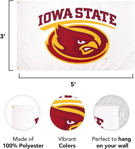 Desert Cactus Iowa State University Flag ISU Cyclones Banners 100% Polyester Indoor Outdoor 3x5 feet Flags (Style Y) in Saudi Arabia