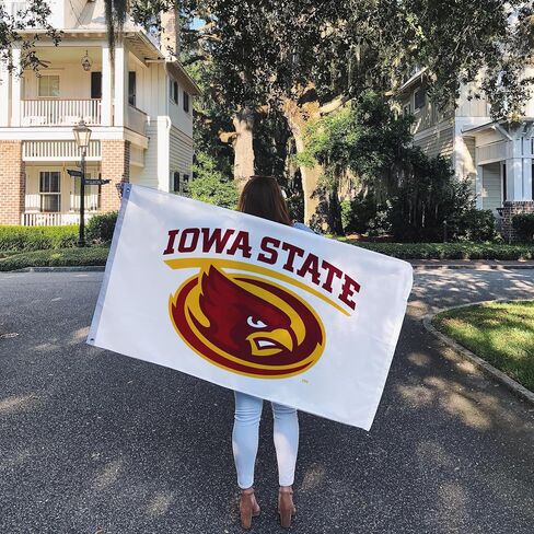 Desert Cactus Iowa State University Flag ISU Cyclones Banners 100% Polyester Indoor Outdoor 3x5 feet Flags (Style Y) in Saudi Arabia