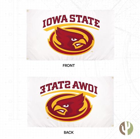 Desert Cactus Iowa State University Flag ISU Cyclones Banners 100% Polyester Indoor Outdoor 3x5 feet Flags (Style Y) in Saudi Arabia