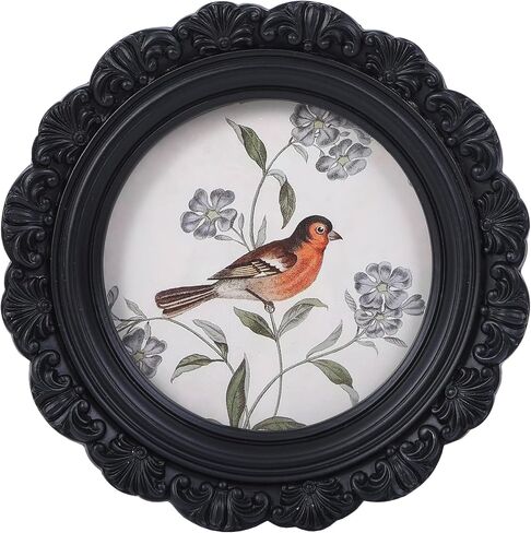 Round Picture Frames 3x3 Antique Picture Frames Small Vintage Picture Frames Mini Pictures Frames Bird Picture Frames Bronze Gallery Wall Decor in Kuwait
