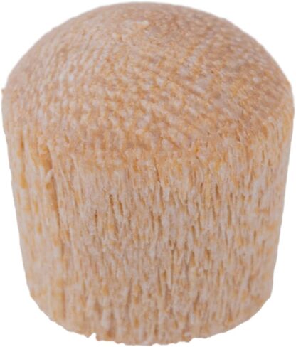 سدادات ثقب المسمار ذات الرأس الدائري من خشب البتولا | قطر 1/4 بوصة | عبوة من 50 قطعة تقريبًا | UA-076-BW in Kuwait