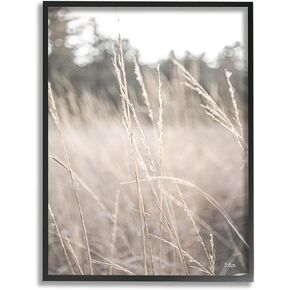 Stupell Industries Warm Rural Field Tall Grass Countryside Scenery, Design by Donnie Quillen, 16 x 20, Beige