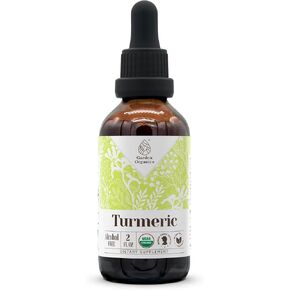 Turmeric USDA Organic Alcohol-Free Extract | Dietary Supplement, High-Potency Tincture | Natural Certified Organic Turmeric (Curcuma Longa) Dried Root (4 oz)