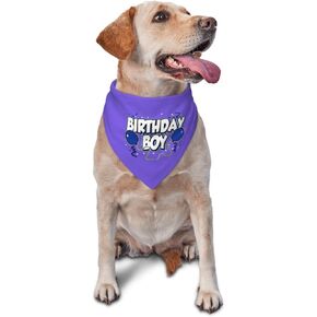 Birthday Boy Party,It's My Birthday,Dog Lovers Birthday Bandana,Triangle Scarf Accessories,Gift for Dog Lover Owner (Purple)