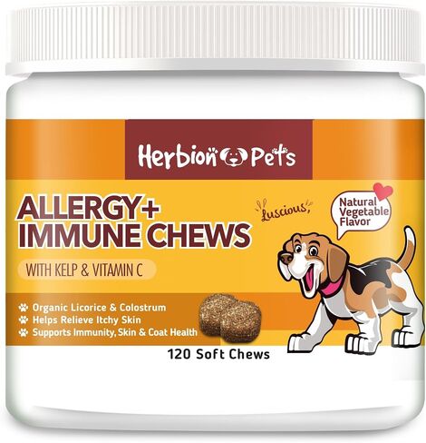 Herbion Pets Digestive Support Chews with Probiotics and Enzymes, 120 Soft Chews - with Daily Digestive Enzymes - for Improved Gut Health - Minimum 2 Billion CFUs - Made in USA - for Dogs 12 Weeks+ in Kuwait