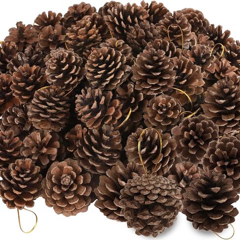 24 PCS Natural Pine Cones, 1.96 IN Pinecone Ornaments, Rustic Pine Cones for Crafts, Winter Decorations for Home, Bulk Pine Cones with Gold String for Christmas Table Decor Diy Christmas Ornaments in Saudi Arabia