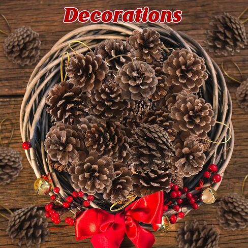 24 PCS Natural Pine Cones, 1.96 IN Pinecone Ornaments, Rustic Pine Cones for Crafts, Winter Decorations for Home, Bulk Pine Cones with Gold String for Christmas Table Decor Diy Christmas Ornaments in Saudi Arabia