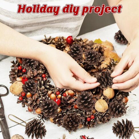 24 PCS Natural Pine Cones, 1.96 IN Pinecone Ornaments, Rustic Pine Cones for Crafts, Winter Decorations for Home, Bulk Pine Cones with Gold String for Christmas Table Decor Diy Christmas Ornaments in Saudi Arabia