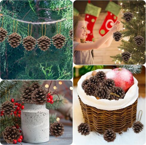 24 PCS Natural Pine Cones, 1.96 IN Pinecone Ornaments, Rustic Pine Cones for Crafts, Winter Decorations for Home, Bulk Pine Cones with Gold String for Christmas Table Decor Diy Christmas Ornaments in Saudi Arabia