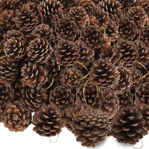 24 PCS Natural Pine Cones, 1.96 IN Pinecone Ornaments, Rustic Pine Cones for Crafts, Winter Decorations for Home, Bulk Pine Cones with Gold String for Christmas Table Decor Diy Christmas Ornaments in Saudi Arabia