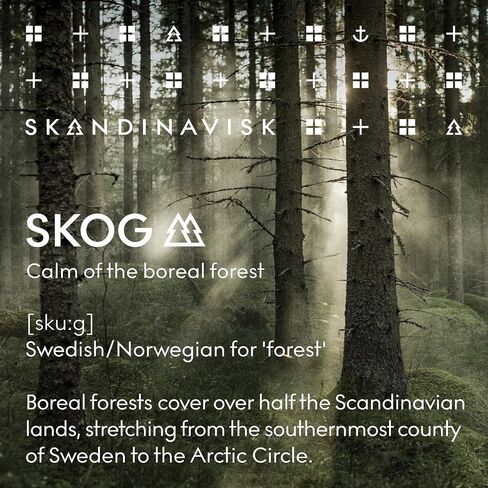 Skandinavisk Skog ‘Forest’ Scent Diffuser with 8 Scents, Lasts +3 Months, Scent Notes: Black Tea and Mint Leaves, Dried Apples and Baked Cinnamon, 3.38 fl. oz. in Kuwait
