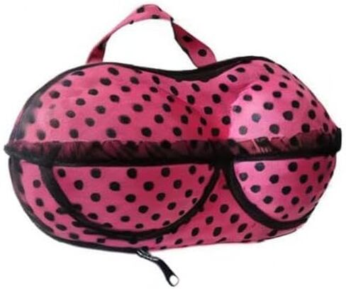 hefeilzmy Travel Home Organizer Zip Bag Case Portable Bra Storage Bag Waterproof Bra and Underwear in Saudi Arabia
