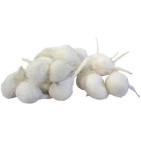 Homemade Diya Pooja Cotton Round Batti for Puja Diya Batti Wicks Diya, Jyot, Organic, Rui, Puja Batti, Navratri, Pujan, Pure, Cotton, Pooja, Hawan Wicks Round Home Diwali.