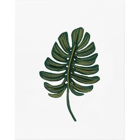 RIFLE PAPER CO. Art Print | Created from Original Gouache Paintings, Printed in Full Color on Bright White Matte Cover Paper, Great for Decoration (8" L x 10" W), Monstera Leaf