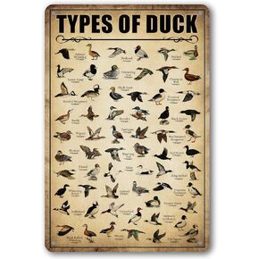 Type Of Duck Tin Sign Duck Hunting Decor Mallard Ducks Knowledge Metal Signs Vintage Duck Hunting Decorations For Home Kitchen Bathroom Duck Wall Art Decor Poster 8 x 12 Inch (Duck)
