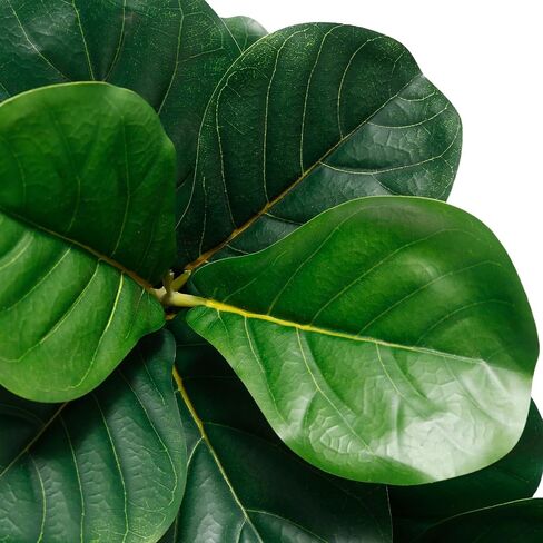 JNT Artificial Fiddle Leaf Fig Tree 5ft, Fake Ficus Lyrata Plant, Faux Fig Trees in Pot for Indoor Outdoor Office Living Room Home Decor Perfect Housewarming Gift in Saudi Arabia