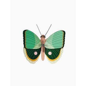 studio ROOF, Wall Art Butterfly, Fern Striped Butterfly, Eco-Friendly & Creative Gift