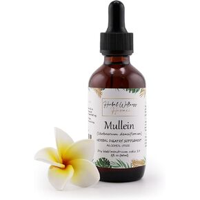 Organic Mullein (Verbascum Thapsus) Dried Flower Tincture - Herbal Supplement for General Wellness, Alcohol-Free 4 Fl.oz