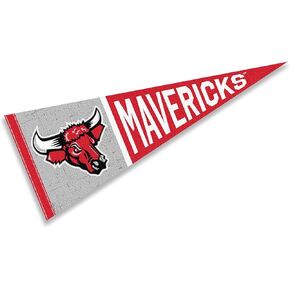 College Flags & Banners Co. Nebraska Omaha Mavericks Pennant Flag