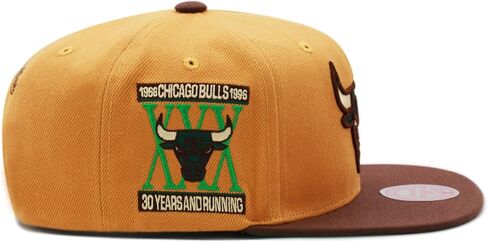 Mitchell & Ness قبعة شيكاغو بولز سناباك للحوم البقر والبروكلي - قمح/بني/أخضر in Saudi Arabia