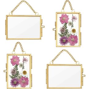4Pcs Double Glass Frame for Pressed Flowers, 2x3 inch Picture Frame Mini Brass Wall Hanging Photo Frame Floating Frame with Chain for Plant Specimen Artwork Display Home Wall Decor (Gold)