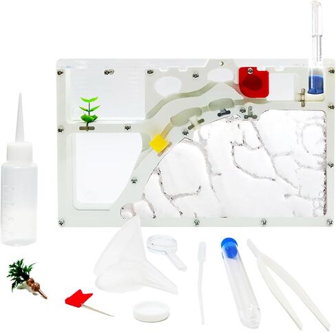 Sand Ant Farm Castle for Kids,Large Ant Habitat to Study Insect Behavior,Ant Colony Ecosystem Science Educational Gift for classroom in Kuwait