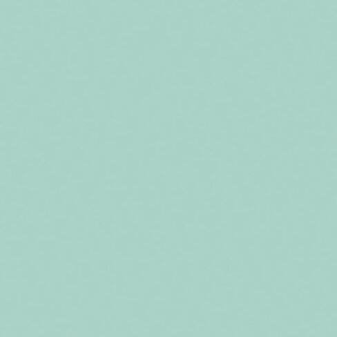 Blue Cardstock - 4 x 6 inch - 65Lb Cover - 100 Sheets - Clear Path Paper in Saudi Arabia