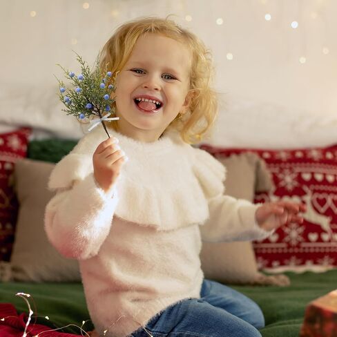 Lyrow 15 جهاز كمبيوتر شخصى من أوراق الصنوبر الاصطناعية فروع مع التوت العرعر الاصطناعي رذاذ الأرز الأخضر أغصان الصنوبر ينبع اختيار للحرف اليدوية DIY إكليل عيد الميلاد إكليل وديكورات الشتاء الداخلية والخارجية in Kuwait