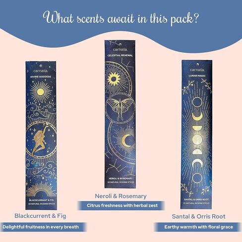Carnatia's Starry Spell Incense Collection - Pack of 6 | Enchanting Aromas | Organic & Slow-Burning | 120 Premium Sticks to Ignite Your Imagination! in Saudi Arabia