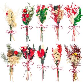 10 Pack Christmas Decorations Mini Dried Flower Bouquets Xmas Decor Picks Natural Dried Flowers with Stem Artificial Red Berry Stems Dry Floral Arrangement for Vase Christmas Wreath Crafts Xmas Gifts