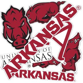 Desert Cactus University of Arkansas Razorbacks U of A Hogs Stickers Vinyl Decals Laptop Water Bottle Car T2 (Type 2-2)