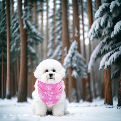 Paisley Dog Bandanas for Large Dogs Breed 33 Inch Size Oversize Paisley Dog Bandanas Lg Daily Party Dog Bandanas for Girls Boys Grooming Accessories L 7PCS in Kuwait